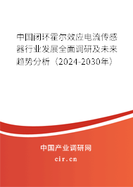 中國(guó)閉環(huán)霍爾效應(yīng)電流傳感器行業(yè)發(fā)展全面調(diào)研及未來(lái)趨勢(shì)分析（2024-2030年）