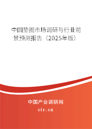 中國墊圈市場調(diào)研與行業(yè)前景預(yù)測報(bào)告（2025年版）