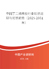 中國(guó)丁二烯橡膠行業(yè)現(xiàn)狀調(diào)研與前景趨勢(shì)（2025-2031年）