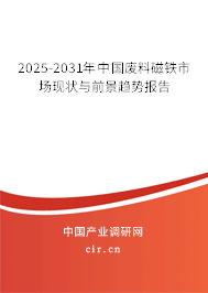 2025-2031年中國(guó)廢料磁鐵市場(chǎng)現(xiàn)狀與前景趨勢(shì)報(bào)告