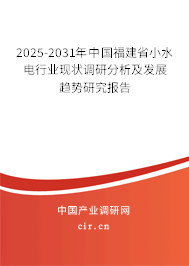 2025-2031年中國福建省小水電行業(yè)現(xiàn)狀調(diào)研分析及發(fā)展趨勢研究報告