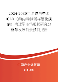 2024-2030年全球與中國(guó)ICAD（顱內(nèi)動(dòng)脈粥樣硬化疾?。┎±韺W(xué)市場(chǎng)現(xiàn)狀研究分析與發(fā)展前景預(yù)測(cè)報(bào)告