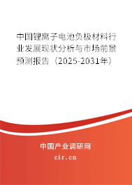 中國鋰離子電池負極材料行業(yè)發(fā)展現(xiàn)狀分析與市場前景預(yù)測報告（2025-2031年）