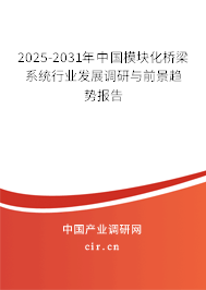 2025-2031年中國(guó)模塊化橋梁系統(tǒng)行業(yè)發(fā)展調(diào)研與前景趨勢(shì)報(bào)告