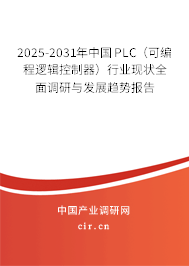 2025-2031年中國PLC（可編程邏輯控制器）行業(yè)現(xiàn)狀全面調研與發(fā)展趨勢報告