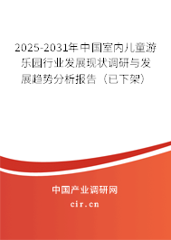 2025-2031年中國室內(nèi)兒童游樂園行業(yè)發(fā)展現(xiàn)狀調(diào)研與發(fā)展趨勢分析報告（已下架）