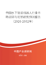 中國(guó)水下管道機(jī)器人行業(yè)市場(chǎng)調(diào)研與前景趨勢(shì)預(yù)測(cè)報(bào)告（2026-2032年）