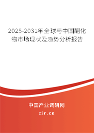 2025-2031年全球與中國酮化物市場現狀及趨勢分析報告 2025-2031年全球與中國酮化物市場現狀及趨勢分析報告