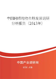 中國(guó)網(wǎng)絡(luò)購(gòu)物市場(chǎng)發(fā)展調(diào)研分析報(bào)告（2013年）
