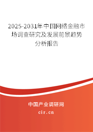 2025-2031年中國網(wǎng)絡(luò)金融市場調(diào)查研究及發(fā)展前景趨勢(shì)分析報(bào)告