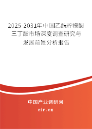 2024-2030年中國乙酰檸檬酸三丁酯市場深度調(diào)查研究與發(fā)展前景分析報告