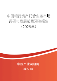 中國銀行資產(chǎn)托管業(yè)務(wù)市場(chǎng)調(diào)研與發(fā)展前景預(yù)測(cè)報(bào)告（2025年）