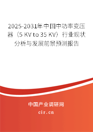 2025-2031年中國(guó)中功率變壓器(5 KV to 35 KV)行業(yè)現(xiàn)狀分析與發(fā)展前景預(yù)測(cè)報(bào)告 2025-2031年中國(guó)中功率變壓器(5 KV to 35 KV)行業(yè)現(xiàn)狀分析與發(fā)展前景預(yù)測(cè)報(bào)告