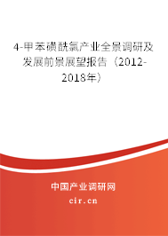 4-甲苯磺酰氯產(chǎn)業(yè)全景調(diào)研及發(fā)展前景展望報(bào)告（2012-2018年）