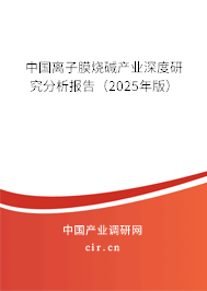 中國離子膜燒堿產業(yè)深度研究分析報告（2025年版）