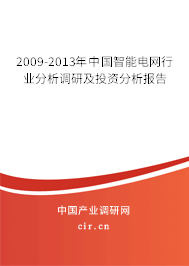 2009-2013年中國智能電網(wǎng)行業(yè)分析調研及投資分析報告 2009-2013年中國智能電網(wǎng)行業(yè)分析調研及投資分析報告