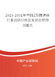 2025-2031年中國Z型推進器行業(yè)調(diào)研分析及發(fā)展前景預測報告
