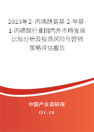 2023年2-丙烯酰氨基-2-甲基-1-丙磺酸行業(yè)國內(nèi)外市場發(fā)展比較分析及投資風(fēng)險(xiǎn)與營銷策略評估報(bào)告