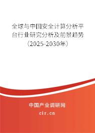 全球與中國安全計(jì)算分析平臺(tái)行業(yè)研究分析及前景趨勢(shì)（2025-2030年）