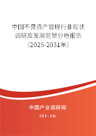 中國不良資產(chǎn)管理行業(yè)現(xiàn)狀調(diào)研及發(fā)展前景分析報(bào)告（2025-2031年）