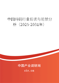 中國純銅行業(yè)現(xiàn)狀與前景分析（2025-2031年）
