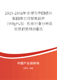 2025-2031年全球與中國磁共振圖像引導(dǎo)聚焦超聲（MRgFUS）系統(tǒng)行業(yè)分析及前景趨勢預(yù)測報告
