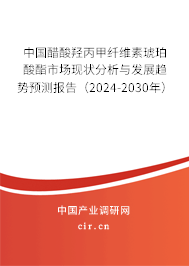 中國醋酸羥丙甲纖維素琥珀酸酯市場現(xiàn)狀分析與發(fā)展趨勢預測報告（2024-2030年）