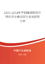 2025-2031年中國(guó)氟硼酸銅市場(chǎng)現(xiàn)狀全面調(diào)研與發(fā)展趨勢(shì)分析