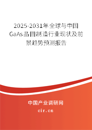 2025-2031年全球與中國GaAs晶圓制造行業(yè)現(xiàn)狀及前景趨勢預(yù)測報告