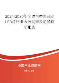 2024-2030年全球與中國感應(yīng)LED燈行業(yè)發(fā)展調(diào)研及前景趨勢報告