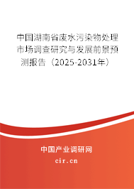 中國湖南省廢水污染物處理市場調(diào)查研究與發(fā)展前景預(yù)測報(bào)告（2025-2031年）