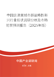中國(guó)京津冀城市群戰(zhàn)略性新興行業(yè)現(xiàn)狀調(diào)研分析及市場(chǎng)前景預(yù)測(cè)報(bào)告（2025年版）