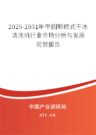 2025-2031年中國顆粒式干冰清洗機(jī)行業(yè)市場(chǎng)分析與發(fā)展前景報(bào)告
