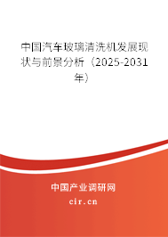 中國(guó)汽車玻璃清洗機(jī)發(fā)展現(xiàn)狀與前景分析（2025-2031年）