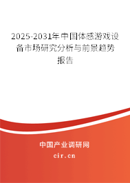 2025-2031年中國體感游戲設(shè)備市場研究分析與前景趨勢報告