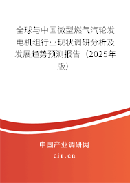 全球與中國微型燃?xì)馄啺l(fā)電機組行業(yè)現(xiàn)狀調(diào)研分析及發(fā)展趨勢預(yù)測報告（2025年版）