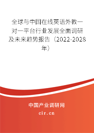 全球與中國在線英語外教一對一平臺行業(yè)發(fā)展全面調研及未來趨勢報告（2022-2028年）