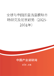 全球與中國(guó)質(zhì)量流量模塊市場(chǎng)研究及前景趨勢(shì)（2025-2031年）