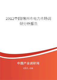 2012中國(guó)朔州市電力市場(chǎng)調(diào)研分析報(bào)告