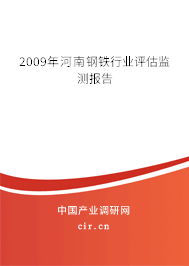 2009年河南鋼鐵行業(yè)評(píng)估監(jiān)測報(bào)告