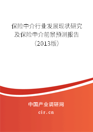 保險中介行業(yè)發(fā)展現(xiàn)狀研究及保險中介前景預(yù)測報(bào)告（2013版）