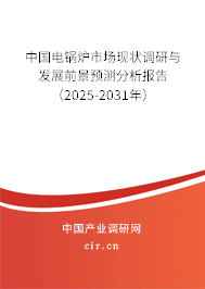 中國電鍋爐市場現(xiàn)狀調(diào)研與發(fā)展前景預(yù)測分析報(bào)告（2025-2031年）