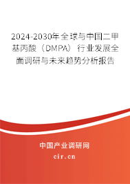 2024-2030年全球與中國二甲基丙酸（DMPA）行業(yè)發(fā)展全面調(diào)研與未來趨勢分析報(bào)告