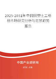 2025-2031年中國鋼塑土工格柵市場研究分析與前景趨勢報(bào)告 2025-2031年中國鋼塑土工格柵市場研究分析與前景趨勢報(bào)告