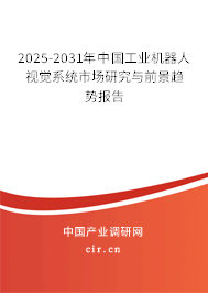 2024-2030年中國工業(yè)機(jī)器人視覺系統(tǒng)市場研究與前景趨勢報(bào)告
