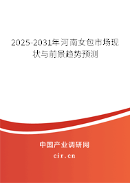 2025-2031年河南女包市場現(xiàn)狀與前景趨勢預(yù)測
