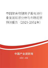 中國聚合物鋰離子蓄電池行業(yè)發(fā)展現(xiàn)狀分析與市場前景預(yù)測報告(2025-2031年) 中國聚合物鋰離子蓄電池行業(yè)發(fā)展現(xiàn)狀分析與市場前景預(yù)測報告(2025-2031年)