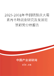 2025-2031年中國硫酸慶大霉素片市場調(diào)查研究及發(fā)展前景趨勢分析報告