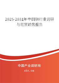 2025-2031年中國鈉行業(yè)調研與前景趨勢報告