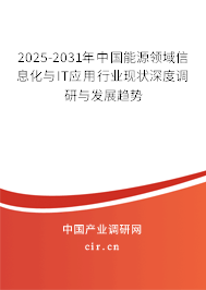 2025-2031年中國能源領(lǐng)域信息化與IT應(yīng)用行業(yè)現(xiàn)狀深度調(diào)研與發(fā)展趨勢(shì)